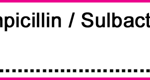 Ampicillin / Sulbactam