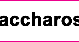 Saccharose