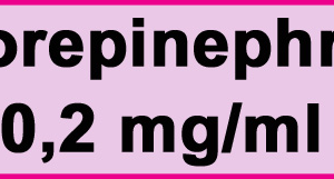 Norepinephrin 0,2 mg/ml
