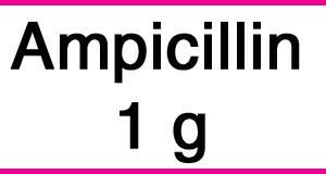 Ampicillin 1g