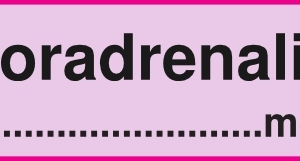 Noradrenalin mg/ml