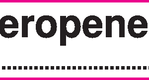 Meropenem