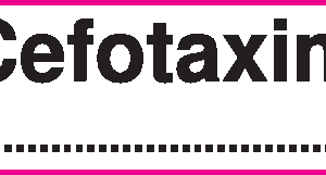 Cefotaxim