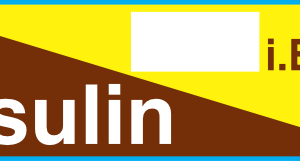 Insulin i.E./ml
