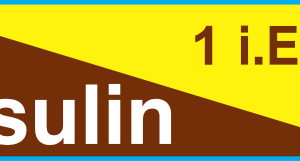Insulin 1 i.E./ml